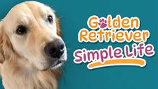 Announcing Golden Retriever Simple Life - A pet game based on a real dog currently trending in Japan!