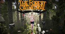 Environmental Thriller Inspired By True Events The Forest Cathedral is Now Available for Xbox and PC