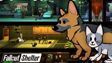 Fallout Shelter: Update bringt Hunde, Katzen und mehr