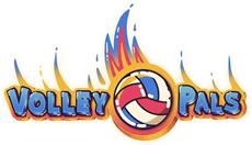 Volley Pals Pre-Order Available Now on Nintendo Switch
