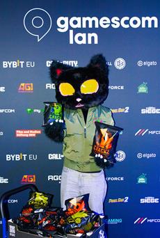 Wasabi Cat - die Katze l&auml;sst das Zocken nicht